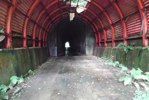 頭川トンネルの写真・動画_image_87162