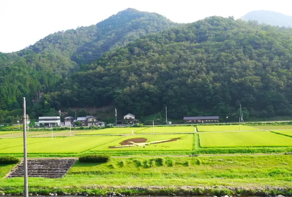 シルク温泉　やまびこの写真・動画_image_88313