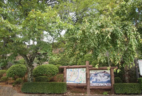丸岡城の写真・動画_image_89753