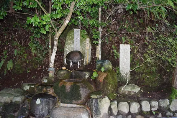 玉作湯神社の写真・動画_image_89849