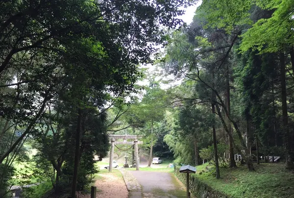 多鳩神社の写真・動画_image_90057