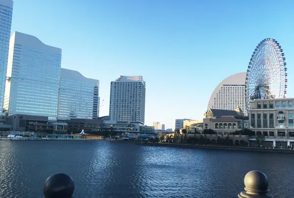 横浜港ボートパークの写真・動画_image_91428