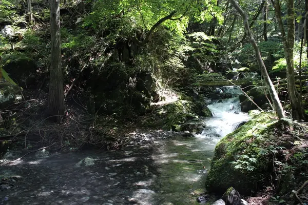 惣岳渓谷の写真・動画_image_91908