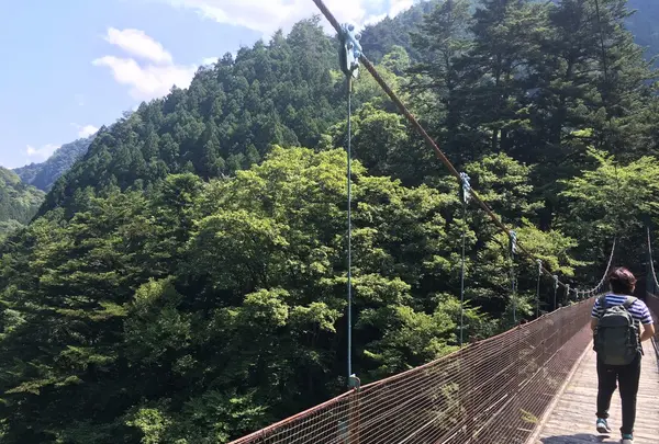惣岳渓谷の写真・動画_image_91909