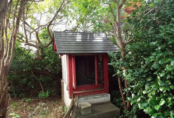桜島パーキングの写真・動画_image_92672