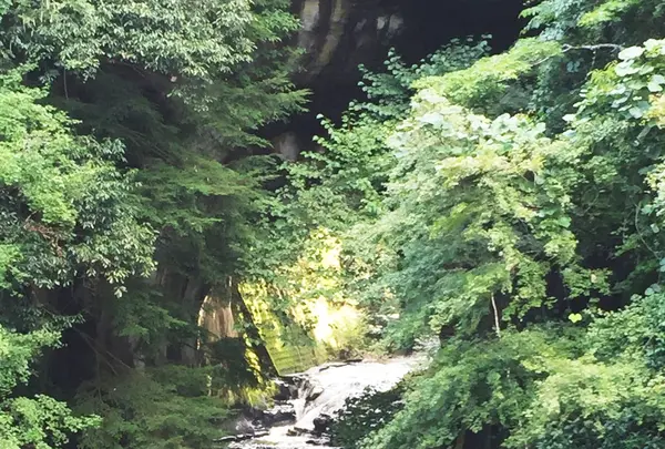 濃溝の滝の写真・動画_image_93872