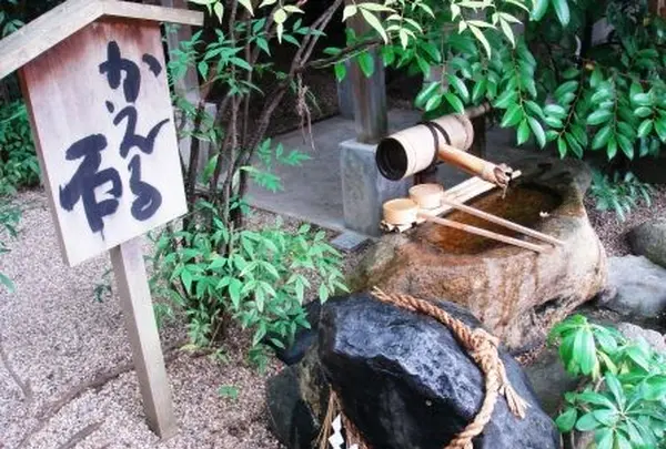 堀越神社の写真・動画_image_96625
