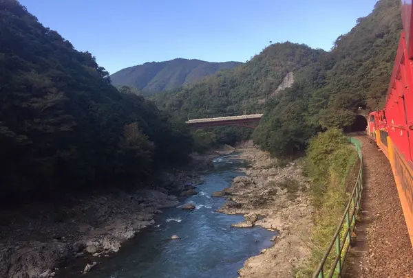 嵯峨野トロッコ列車の写真・動画_image_98428