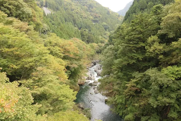 惣岳渓谷の写真・動画_image_98468