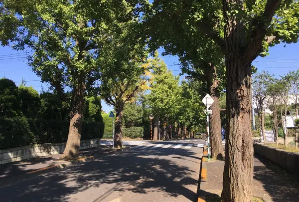 宝来公園の写真・動画_image_98956