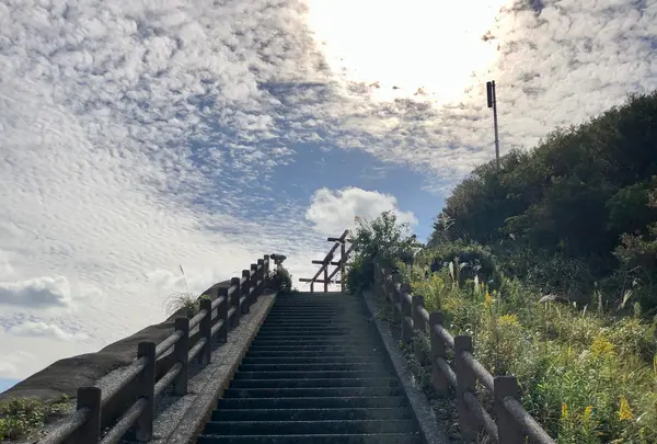 空の公園の写真・動画_image_1016877