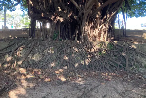 崇元寺跡の写真・動画_image_1026877