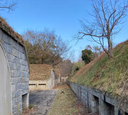 小島の写真・動画_image_1042789