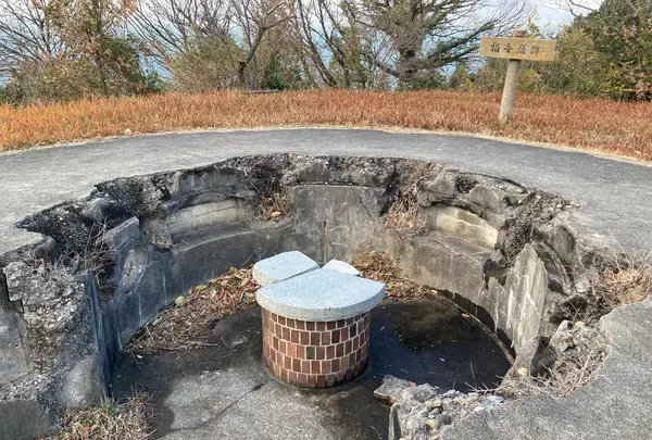 小島の写真・動画_image_1042792