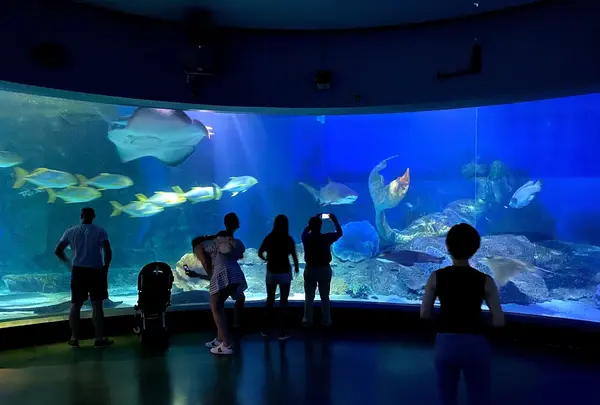 メルボルン水族館