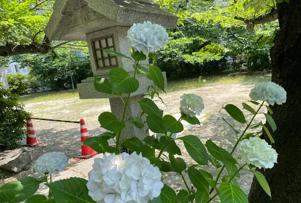 三光神社の写真・動画_image_1129764