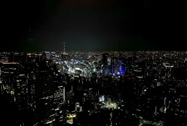 東京タワーの写真・動画_image_1156044