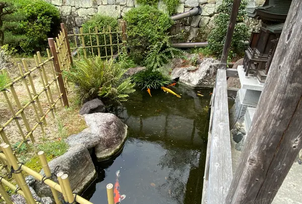 繁多寺の写真・動画_image_1181596