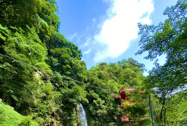 神川大滝公園の写真・動画_image_1193653