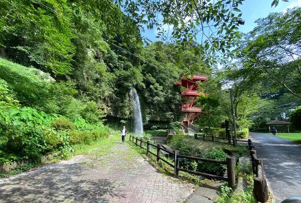 神川大滝公園の写真・動画_image_1193654