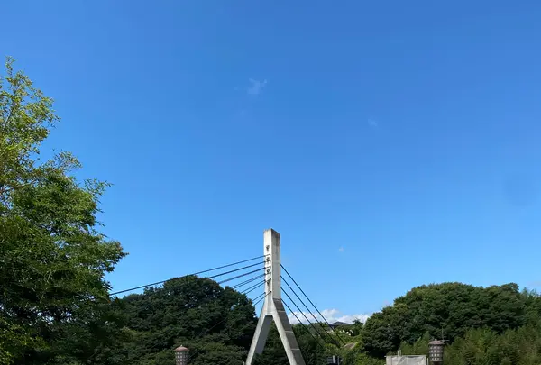 旧秩父橋の写真・動画_image_1195389