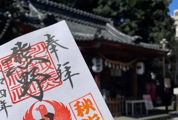 川越熊野神社の写真・動画_image_1206544