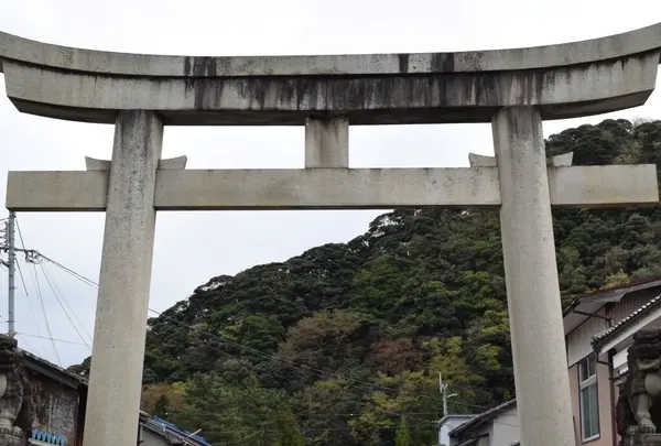 八幡神社の写真・動画_image_1209720