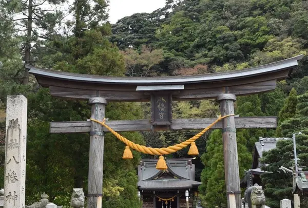 八幡神社の写真・動画_image_1209721