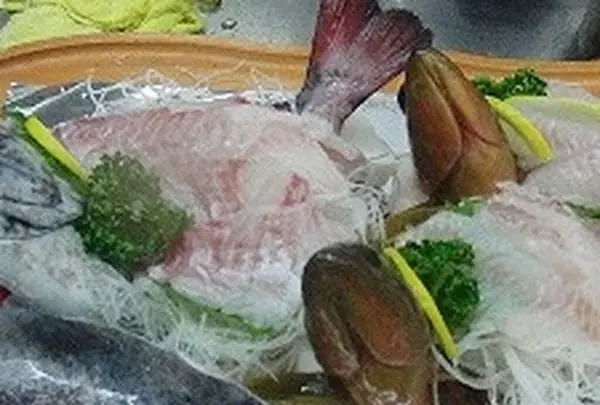 やそべの写真・動画_image_1211859