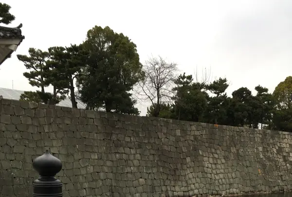 元離宮 二条城の写真・動画_image_1214259