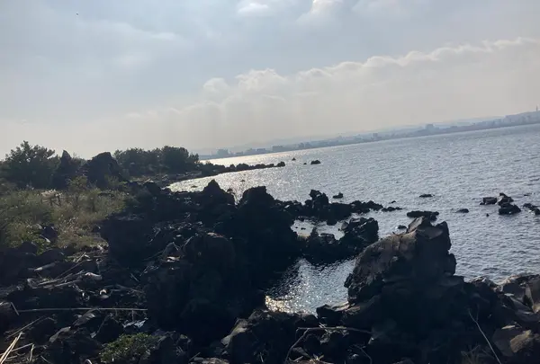 桜島溶岩なぎさ公園＆足湯の写真・動画_image_1232727
