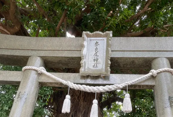 奈良尾神社の写真・動画_image_1245402