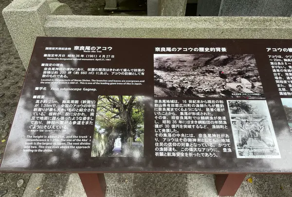 奈良尾神社の写真・動画_image_1245408