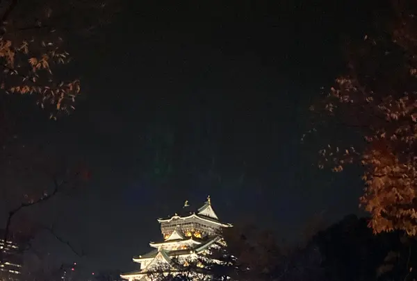 大阪城の写真・動画_image_1245653