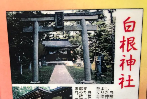 白根神社の写真・動画_image_1267377