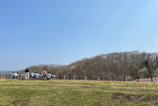 市貝町芝ざくら公園の写真・動画_image_1323662