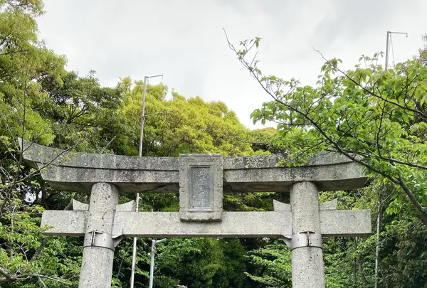 増田神社の写真・動画_image_1339681