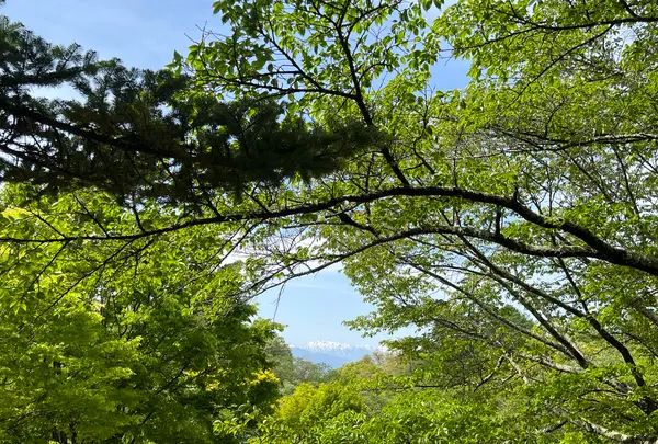 松本市アルプス公園の写真・動画_image_1351362