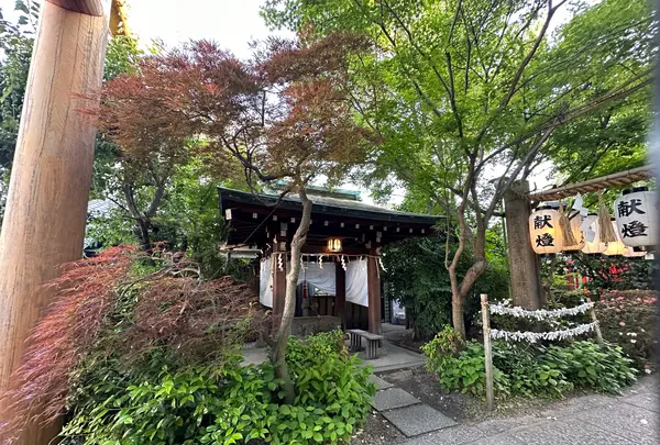 堀越神社(大阪)の写真・動画_image_1361441