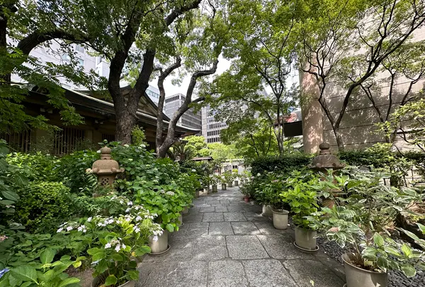 坐摩神社の写真・動画_image_1364874