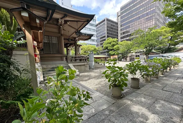 坐摩神社の写真・動画_image_1364876