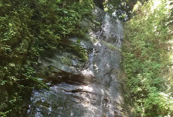 金神の滝の写真・動画_image_1365888