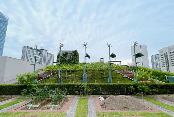 天空の農園（大阪ステーションシティ内）の写真・動画_image_1367887