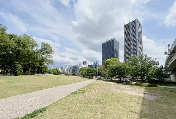 中之島公園 芝生広場の写真・動画_image_1368947