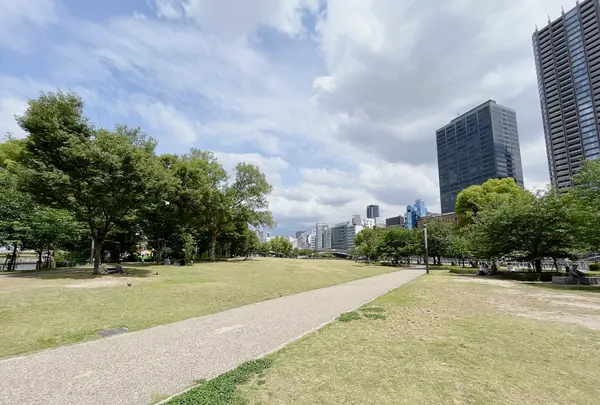 中之島公園 芝生広場の写真・動画_image_1368948