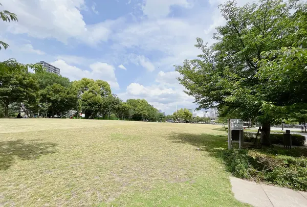 中之島公園 芝生広場の写真・動画_image_1368949