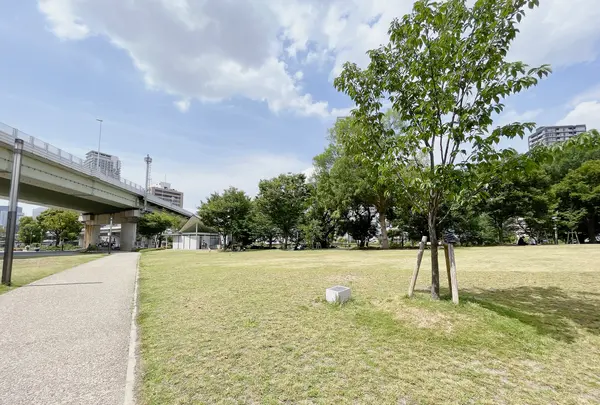中之島公園 芝生広場の写真・動画_image_1368950