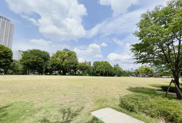 中之島公園 芝生広場の写真・動画_image_1368952