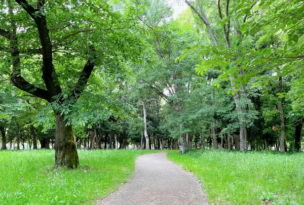 市民の森（大阪城公園内）の写真・動画_image_1373808