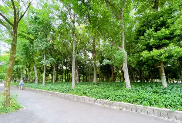 市民の森（大阪城公園内）の写真・動画_image_1373810